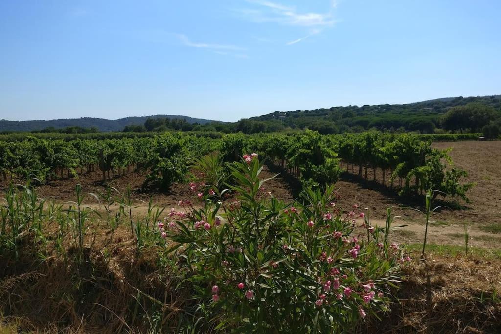 Appartement Les Vignes Et La Pinede Pres De La