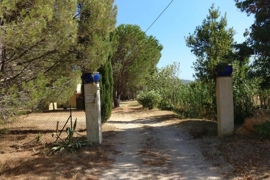 Les Vignes Et La Pinede Pres De La Appartement *